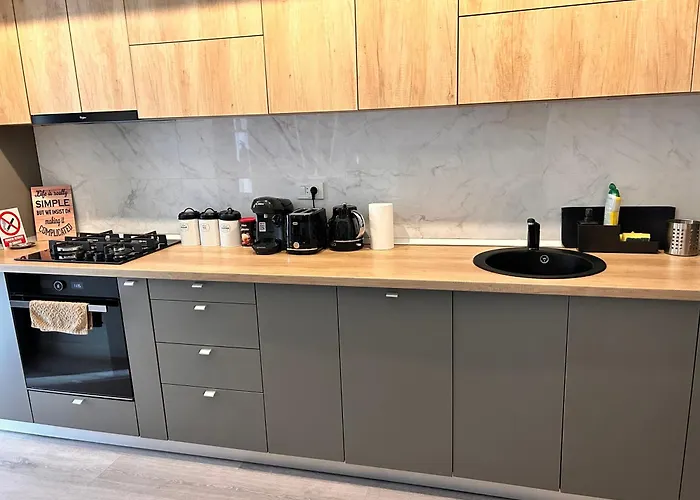 Industrial Style 公寓 布加勒斯特